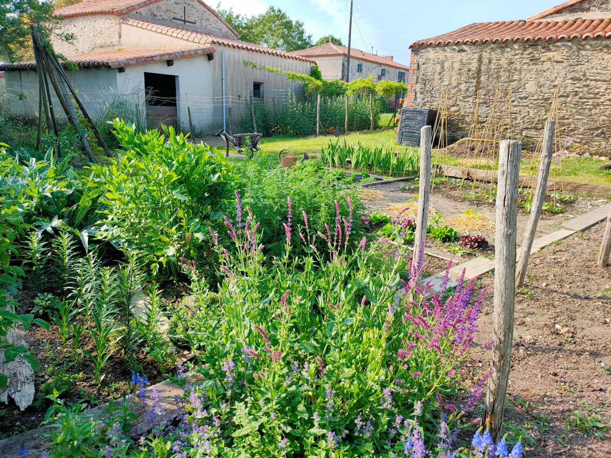 Le Vieux Logis De La Galocherie Sainte-Florence 외부 사진
